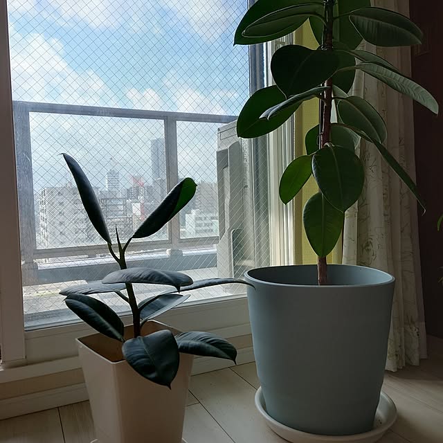 mimiさんの実例写真