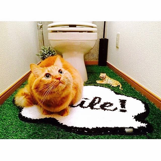 yukinoさんの実例写真