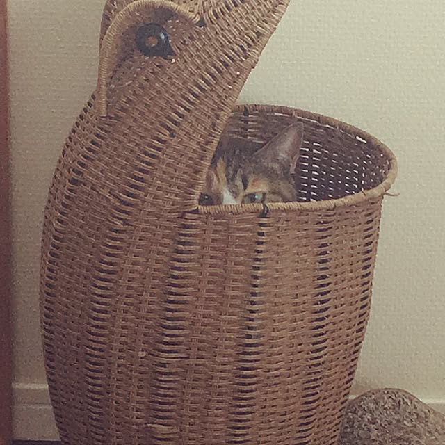 marukoさんの実例写真