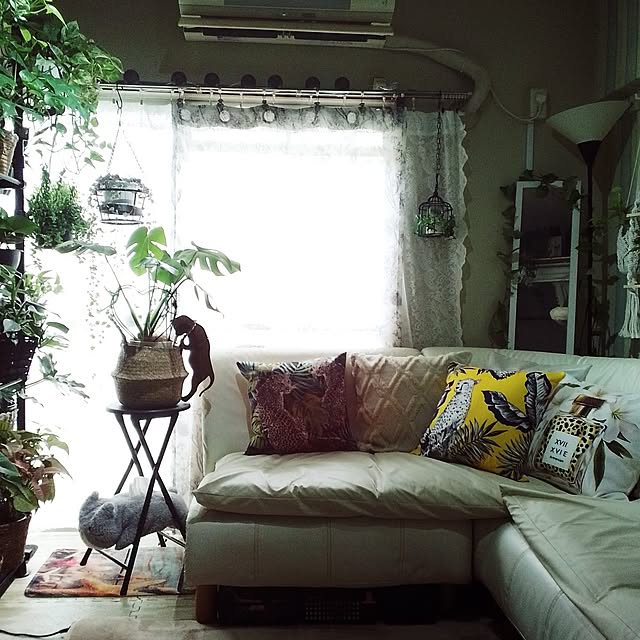 runaさんの実例写真