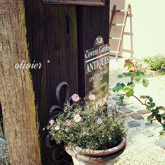 olivierさんの実例写真