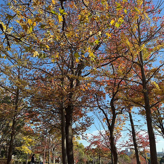 naokoさんの部屋