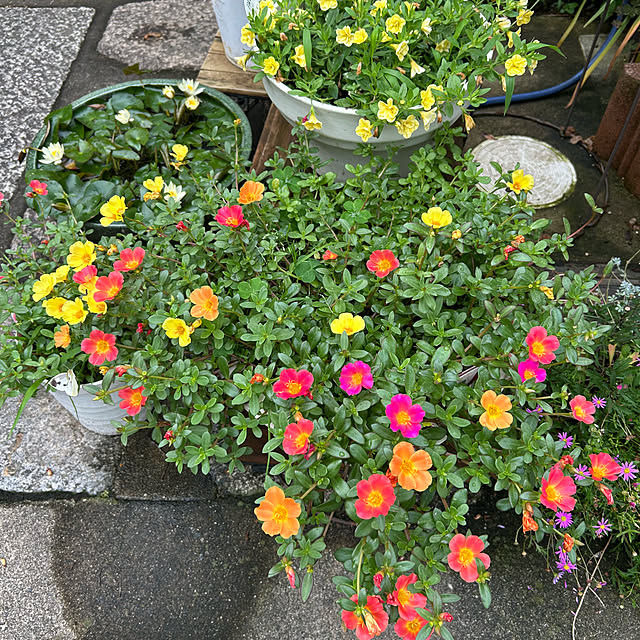 fumikoiさんの部屋