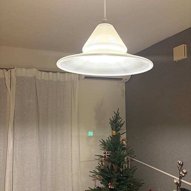 mainさんの実例写真