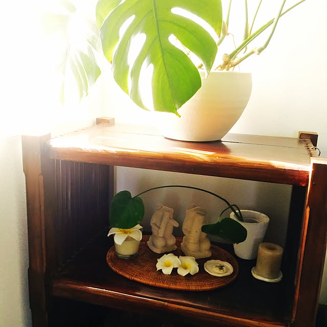 mana3さんの実例写真