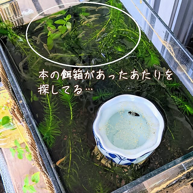 mi-saさんの部屋