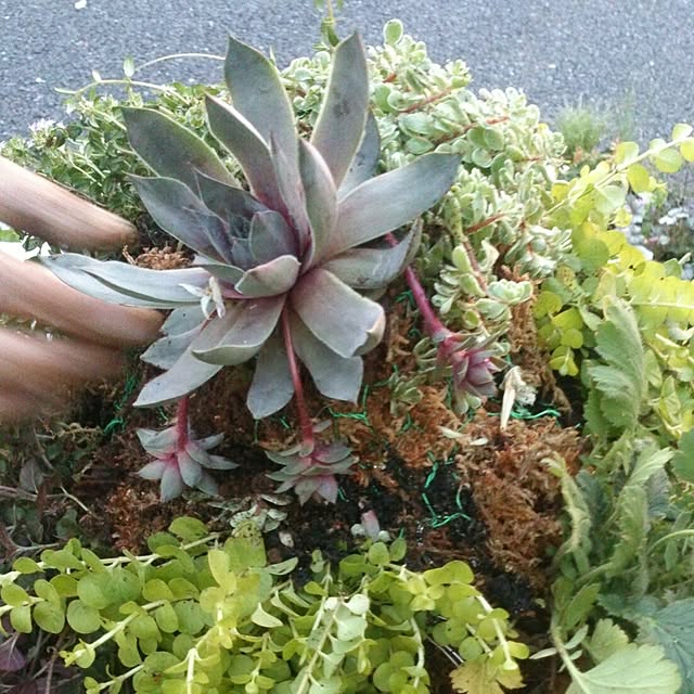 GreenWorksさんの実例写真