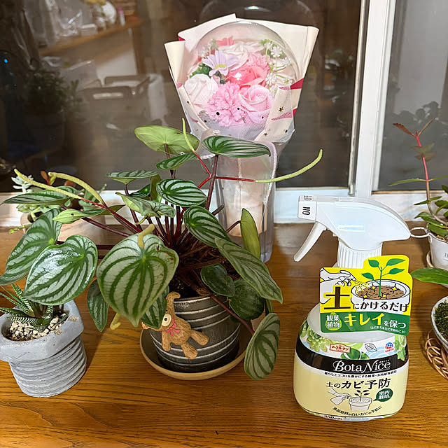 chIoeさんの部屋