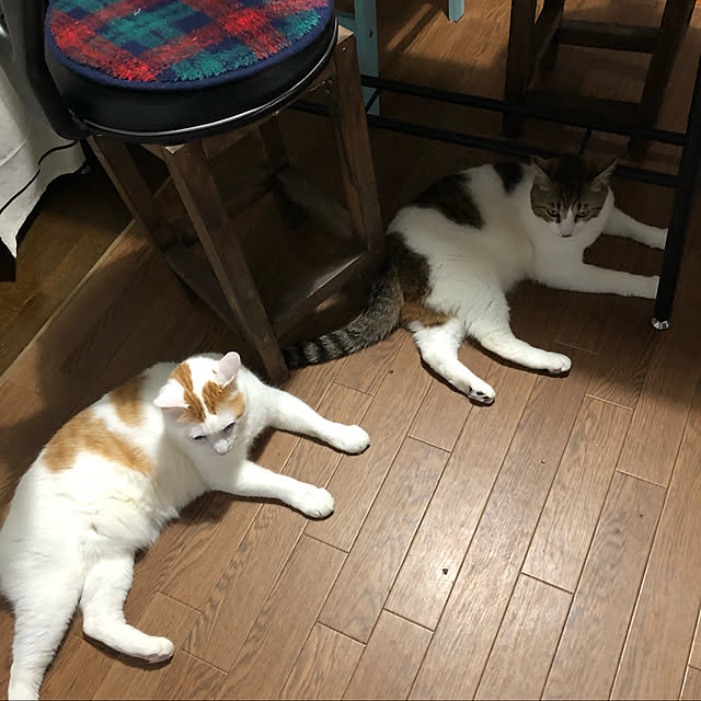 arayanさんの実例写真