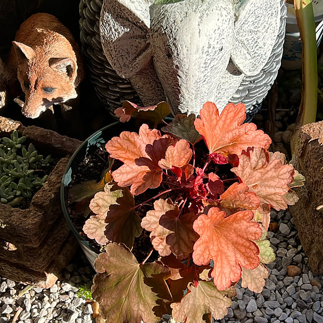 nannoさんの実例写真