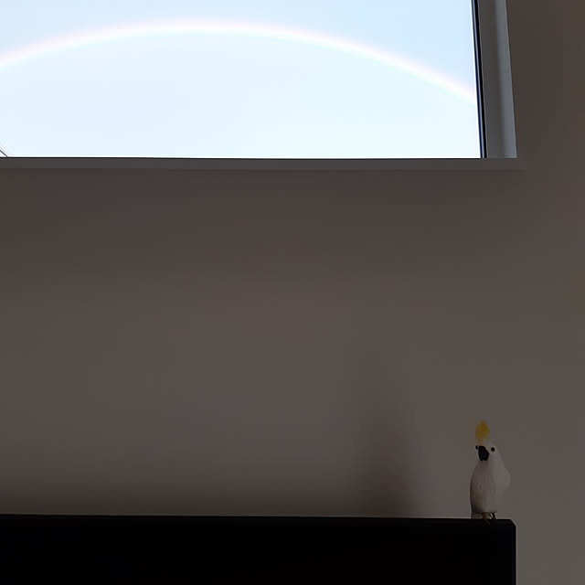 nanoさんの実例写真