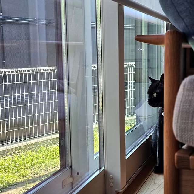 koyurizuさんの部屋