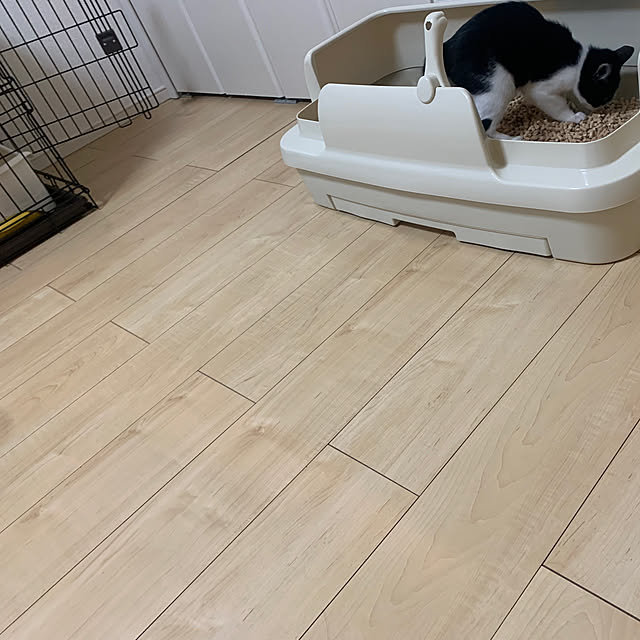 kkkさんの部屋