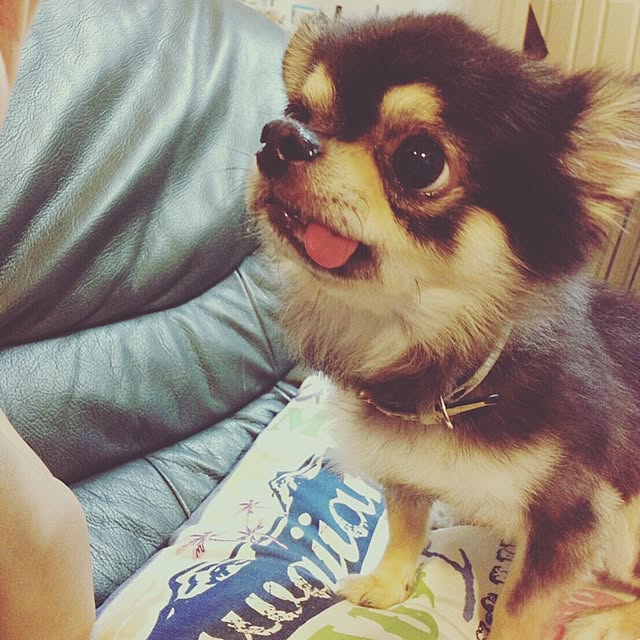 Kazumiさんの実例写真