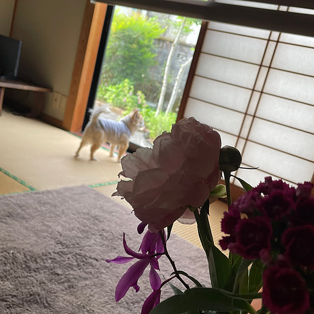 natsumiさんの部屋