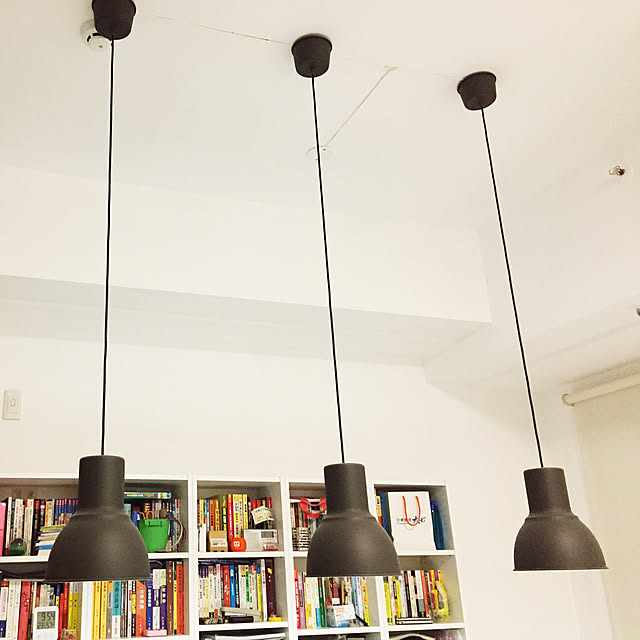 Lizさんの実例写真