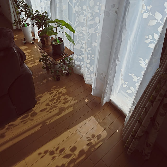 summer83さんの実例写真
