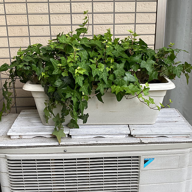 YuuKoさんの部屋