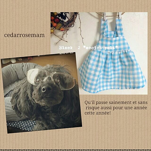 cedarrosemamさんの実例写真