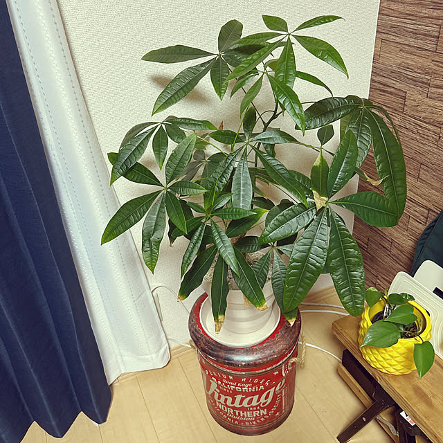 takayoさんの実例写真