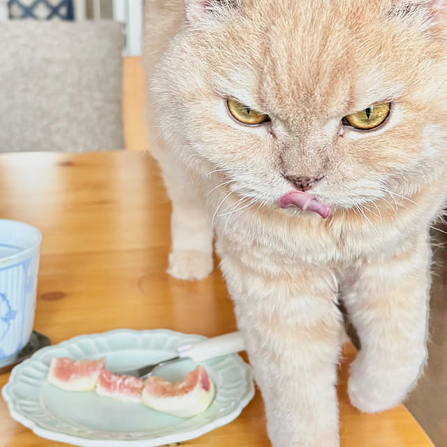 naokoさんの部屋