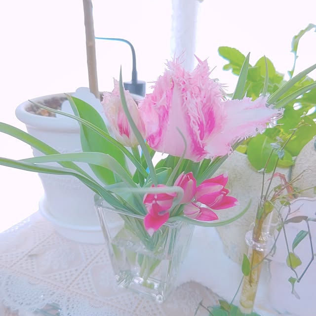 mariaさんの実例写真