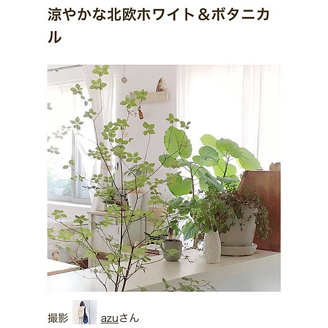azuさんの実例写真