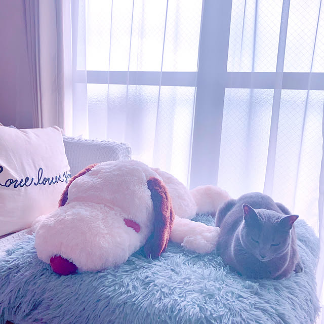 snoopyさんの部屋