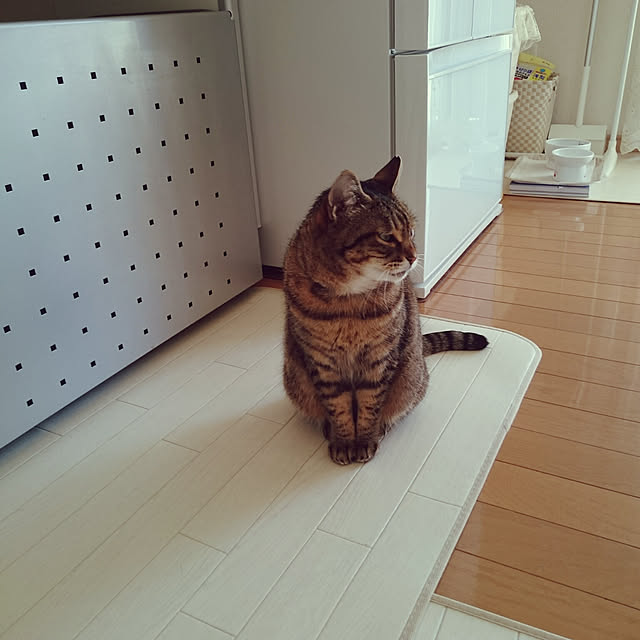 lilyさんの実例写真