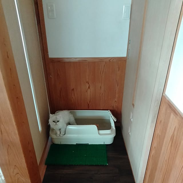 makaronさんの部屋