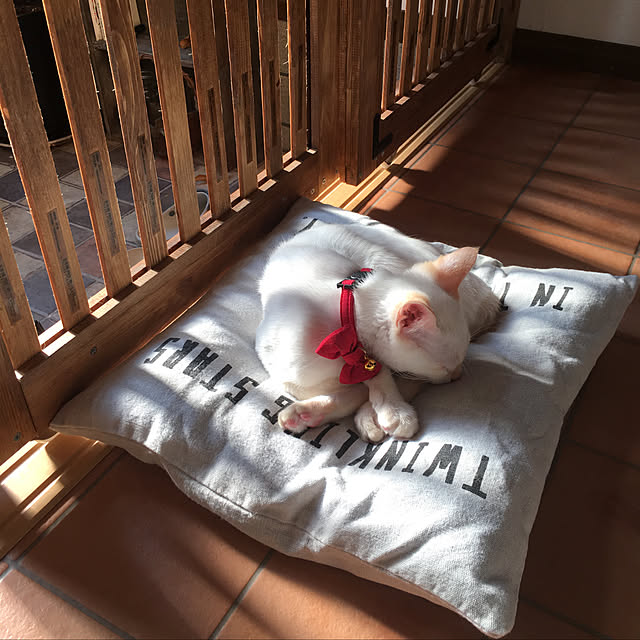 happy0612さんの実例写真