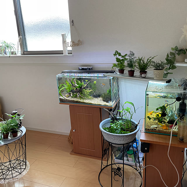Ny77Coronさんの部屋