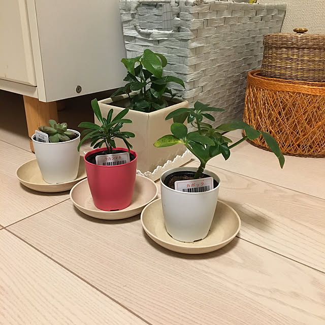 yumyumさんの実例写真