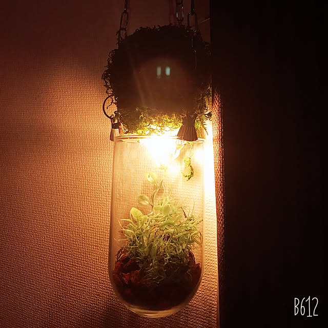 kecharaさんの実例写真