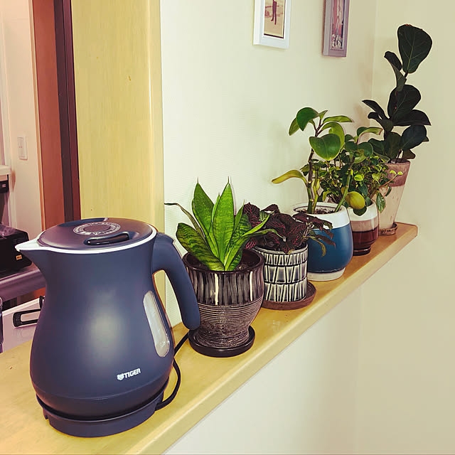 観葉植物/モノトーン/キッチンのインテリア実例 - 2021-01-27 16:07:44