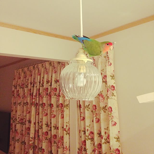 alyssavegeさんの実例写真