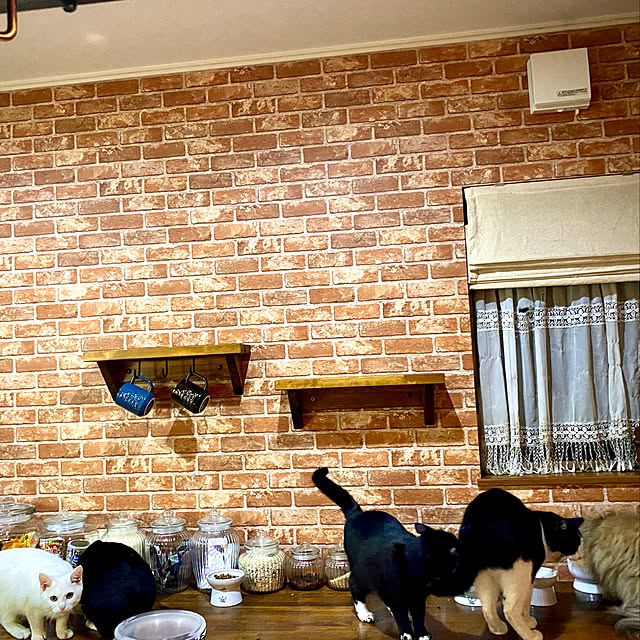 butachanさんの実例写真