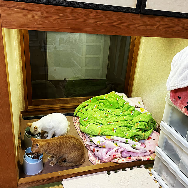 himetanさんの実例写真