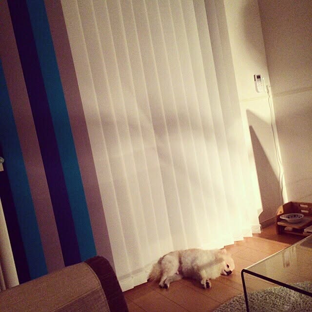 kaoさんの実例写真