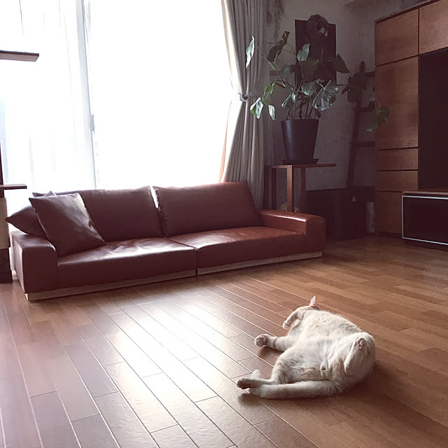 hiyupan88さんの実例写真