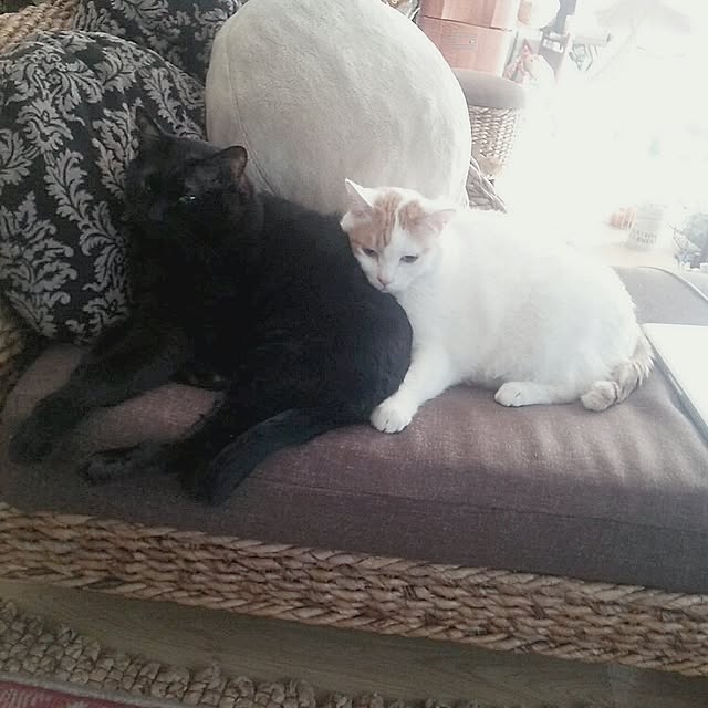 ugさんの実例写真
