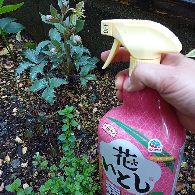 brooklynさんの実例写真