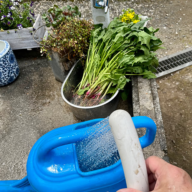 cotaさんの部屋