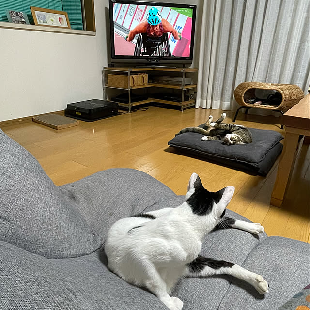 nobikoさんの実例写真