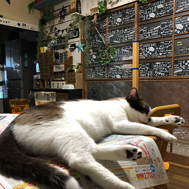 vivienne.coco-keiさんの実例写真