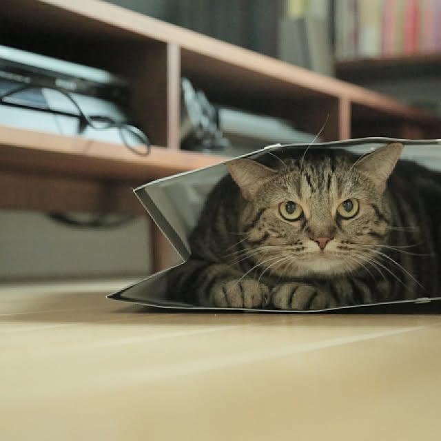 haruhouseさんの実例写真