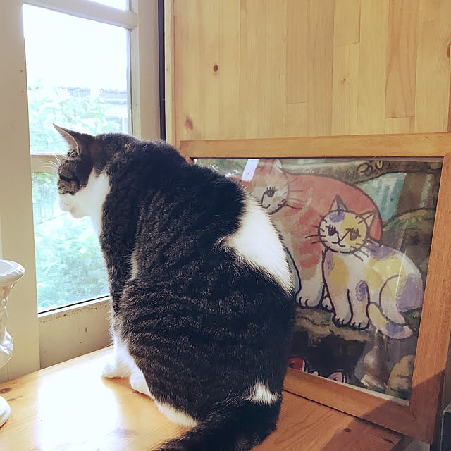 実例写真