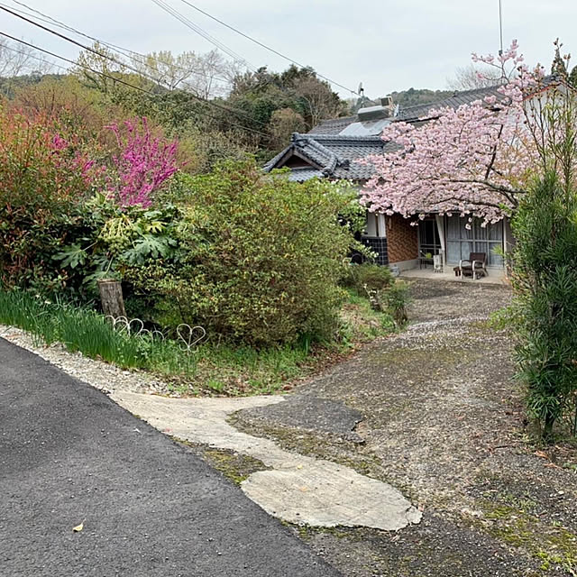 築年数100年以上/部屋全体のインテリア実例 - 2022-04-04 07:51:48