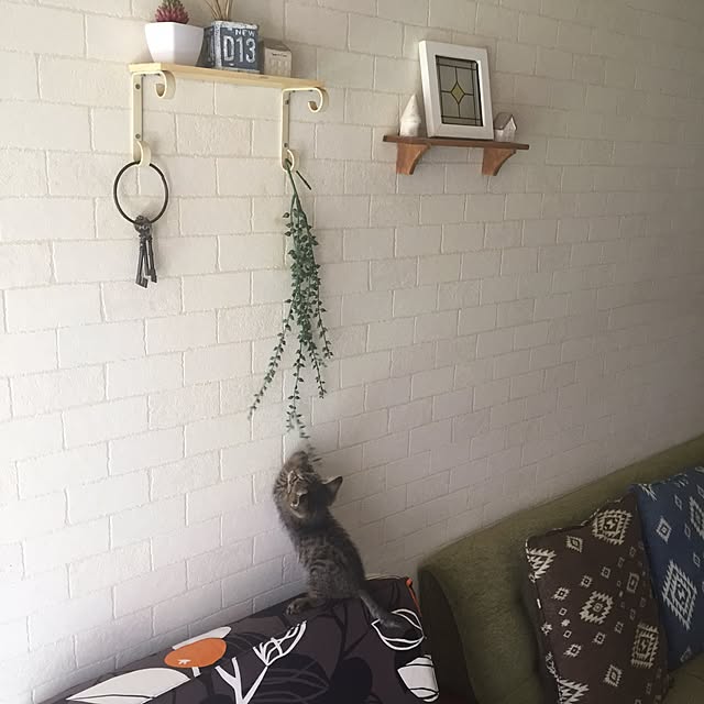 tomさんの実例写真