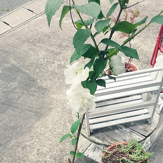 tikuwaさんの実例写真